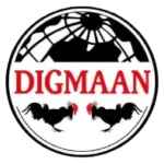 ic-logo-footer (2)